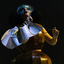 Bj&ouml;rk