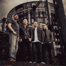The Pineapple Thief