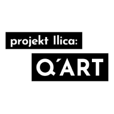 Projekt Ilica