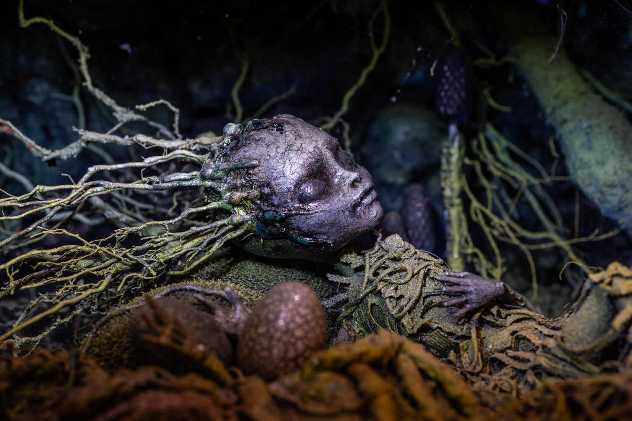 Muzej zaboravljenih priča