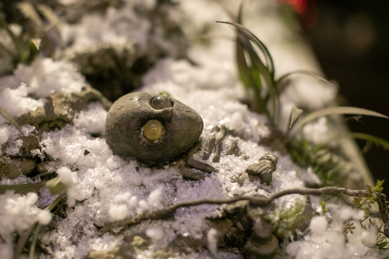 Muzej zaboravljenih priča