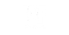 Logo partnera