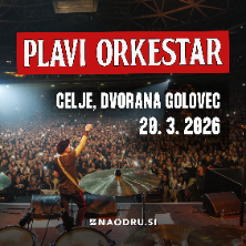 Plavi Orkestar