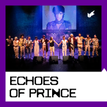 Echoes Of Prince