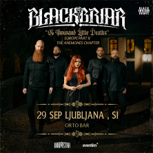 Blackbriar
