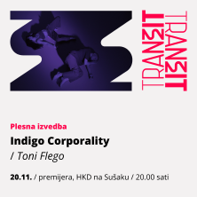 Toni Flego - Indigo Corporality