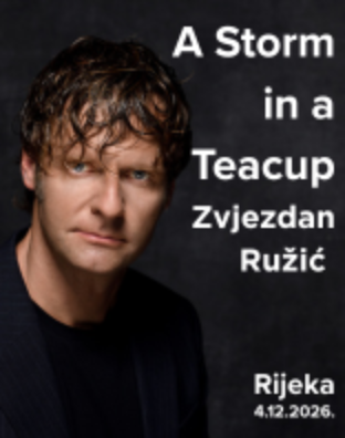 Zvjezdan Ružić - A Storm In A Teacup