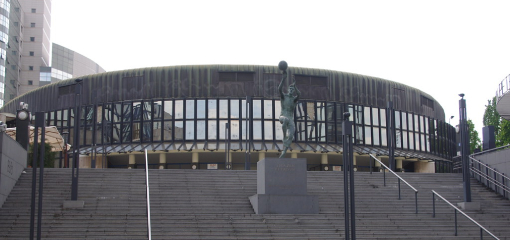 BC Dražen Petrović